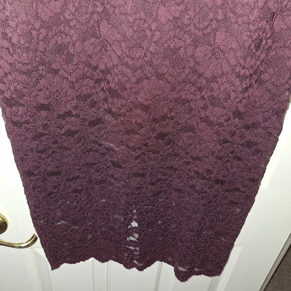 Express Lace Dress - Picture 11 of 12